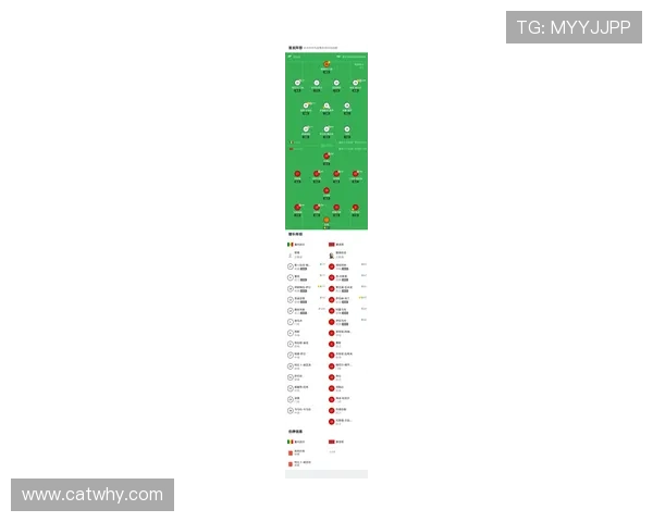 马内卜拉欣领衔非洲杯最佳阵容